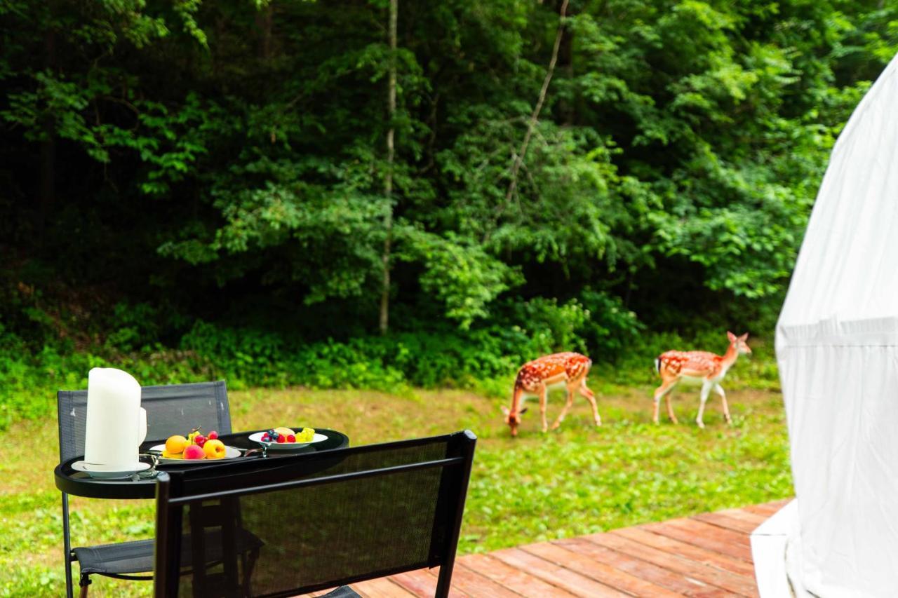 Solace Glamping 2 Sevierville Esterno foto